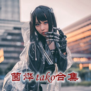 网红「菌烨tako」cosplay美女写真+随包视频合集