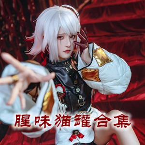 网红「腥味猫罐」cosplay美女写真+随包视频合集