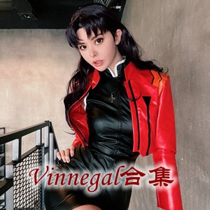 网红「Vinnegal」cosplay美女写真+随包视频合集